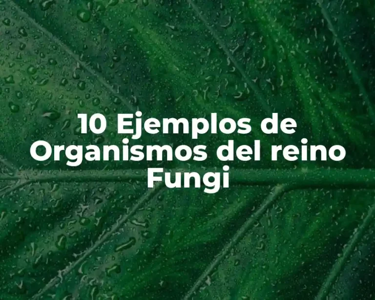 10 Ejemplos de Organismos del reino Fungi
