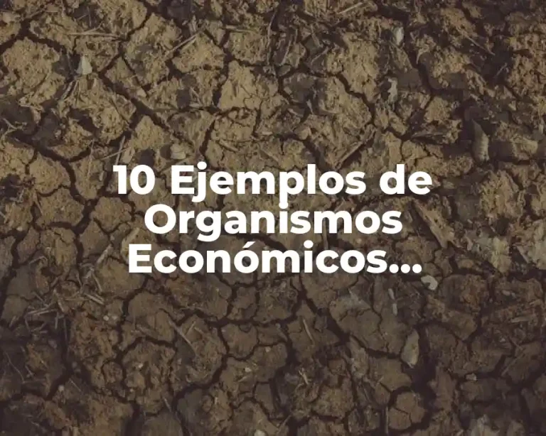 10 Ejemplos de Organismos Económicos Internacionales