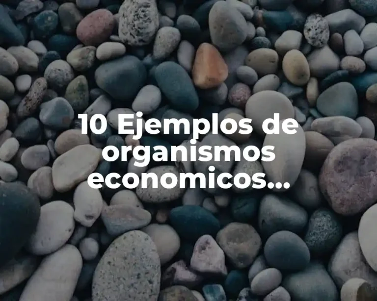 10 Ejemplos de organismos economicos internacionales de mexico y el mundo