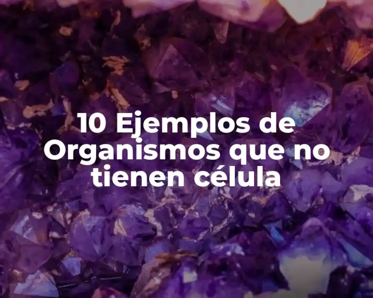 10 Ejemplos de Organismos que no tienen célula