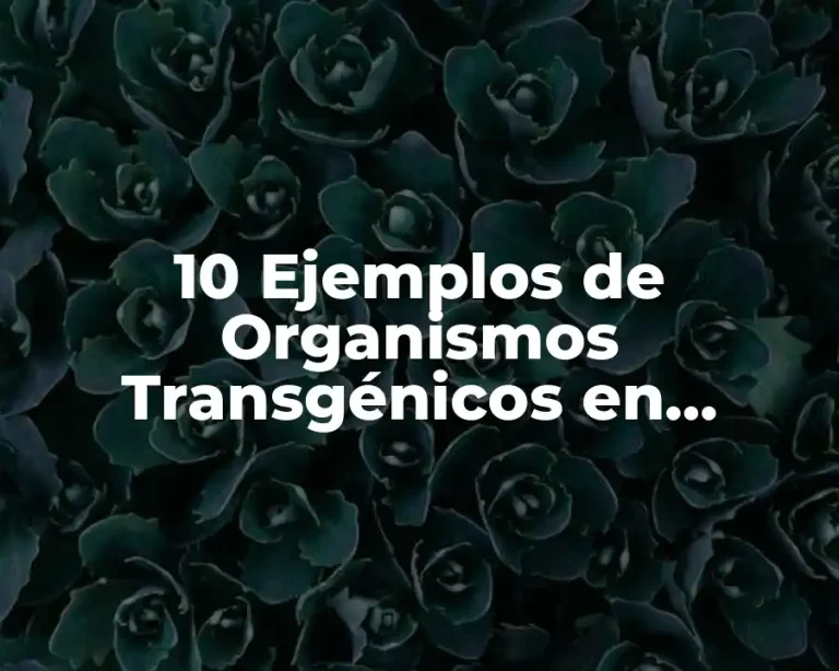 10 Ejemplos de Organismos Transgénicos en Animales