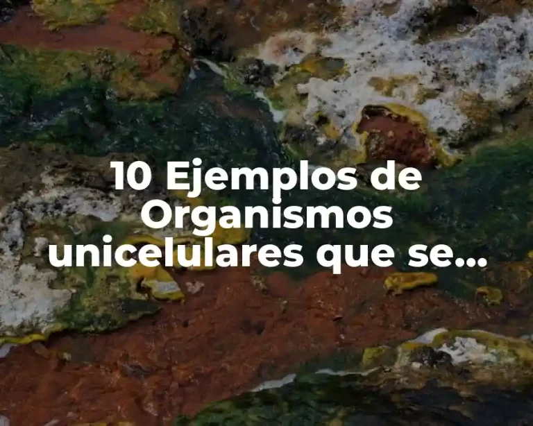 10 Ejemplos de Organismos unicelulares que se reproducen asexualmente por gemación