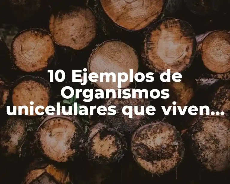 10 Ejemplos de Organismos unicelulares que viven en el cuerpo humano
