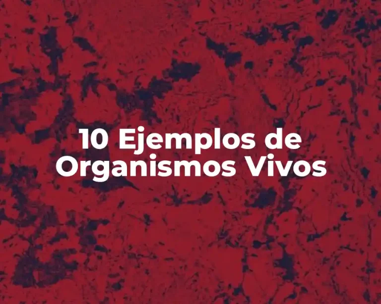 10 Ejemplos de Organismos Vivos