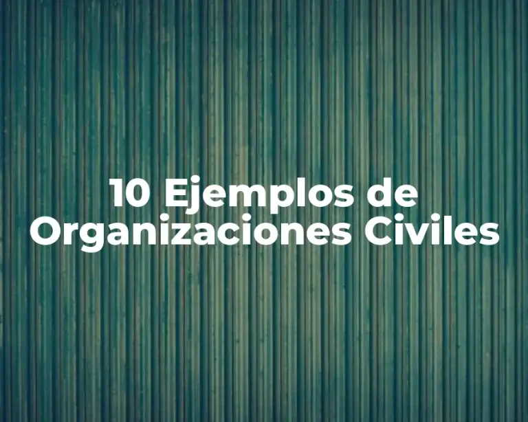 10 Ejemplos de Organizaciones Civiles