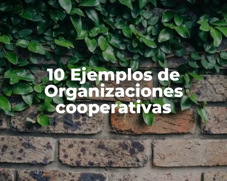 10 Ejemplos de Organizaciones cooperativas