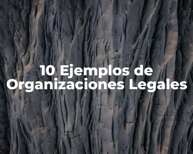 10 Ejemplos de Organizaciones Legales