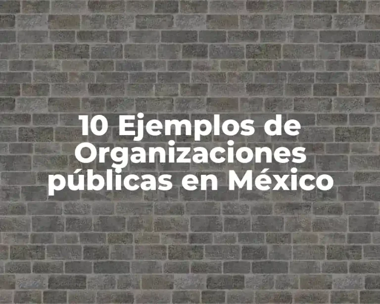 10 Ejemplos de Organizaciones públicas en México