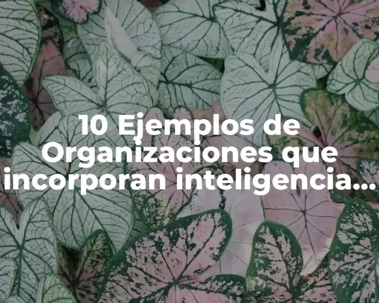 10 Ejemplos de Organizaciones que incorporan inteligencia de negocios en México