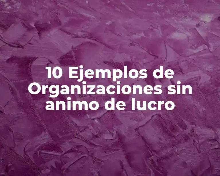 10 Ejemplos de Organizaciones sin animo de lucro