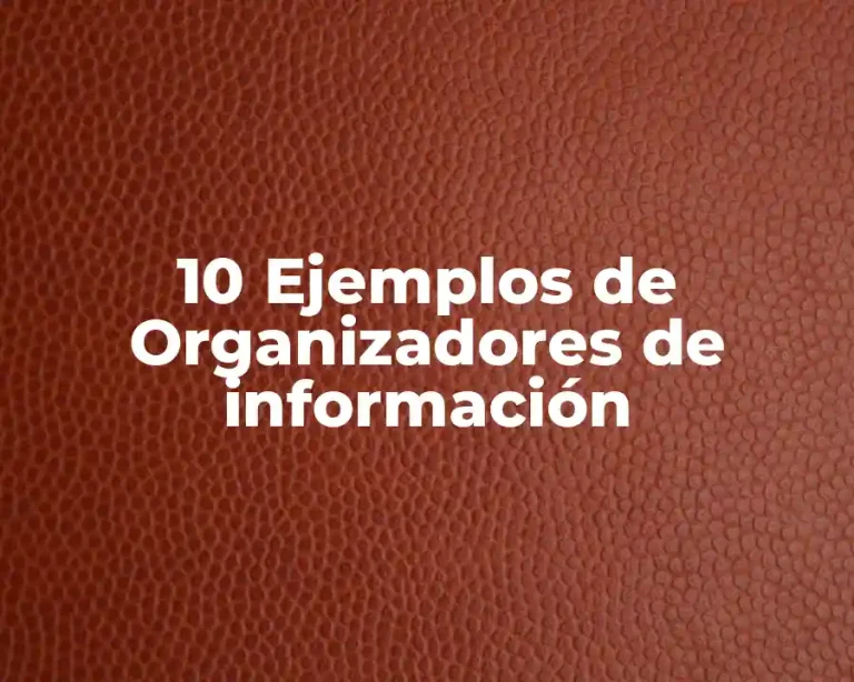 10 Ejemplos de Organizadores de información