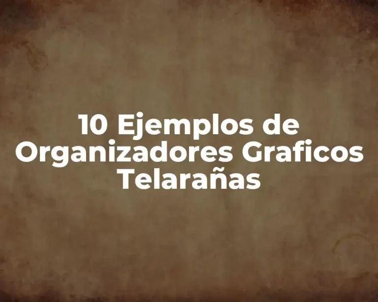 10 Ejemplos de Organizadores Graficos Telarañas
