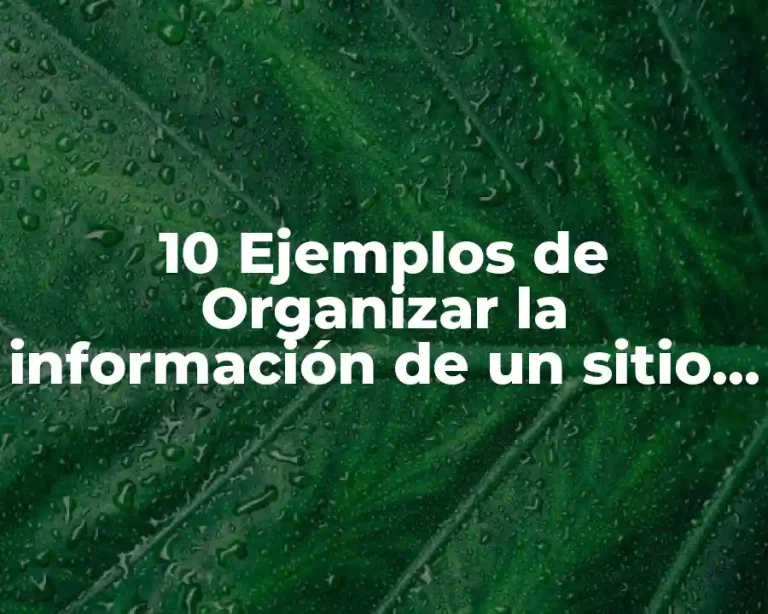 10 Ejemplos de Organizar la información de un sitio web SlideShare