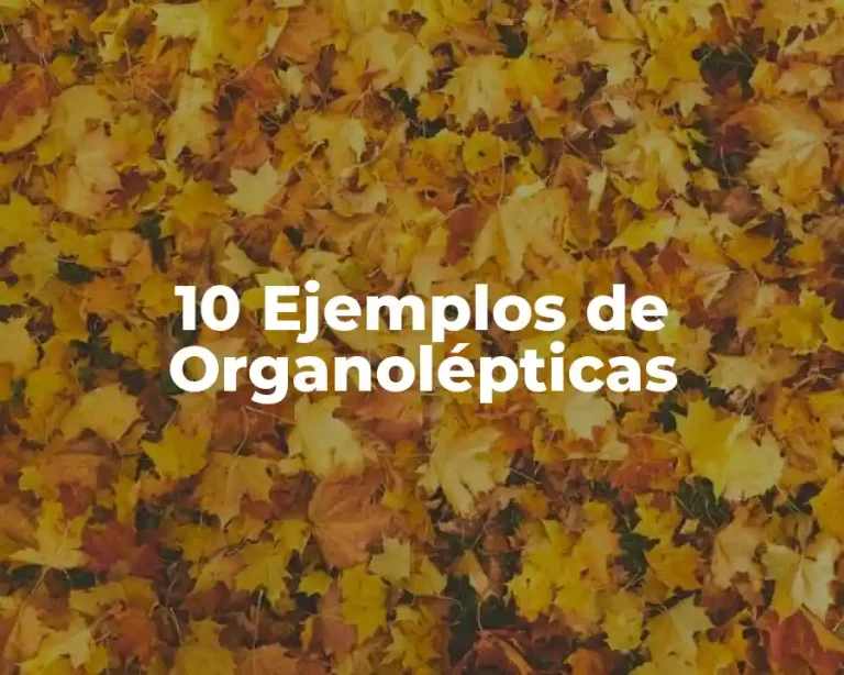 10 Ejemplos de Organolépticas