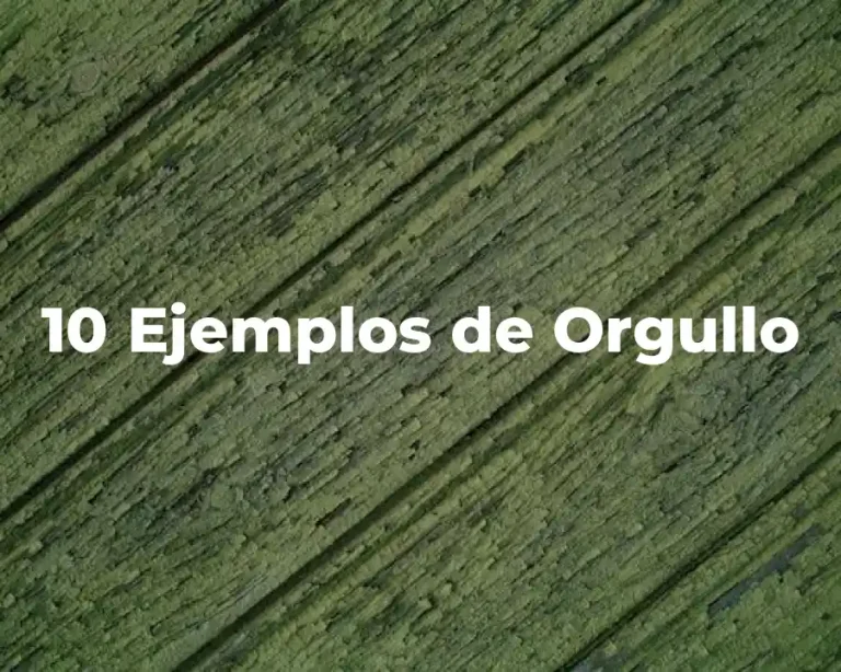 10 Ejemplos de Orgullo