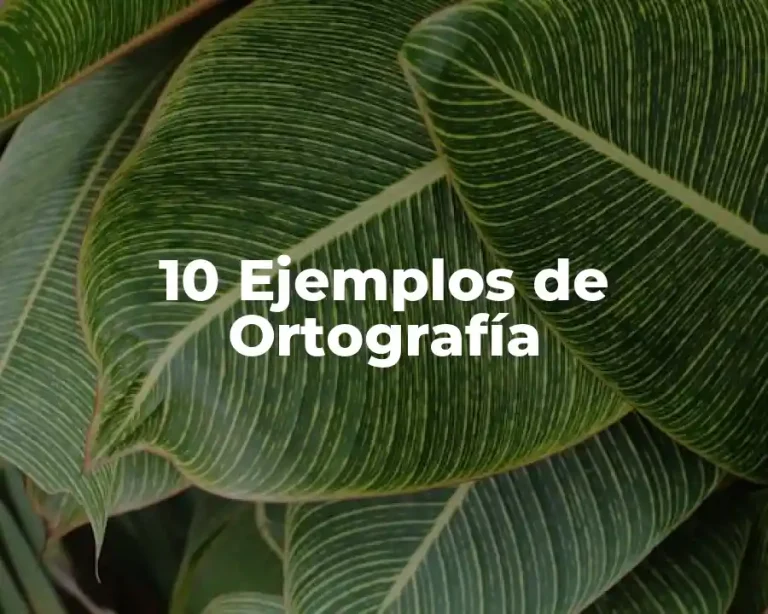 10 Ejemplos de Ortografía