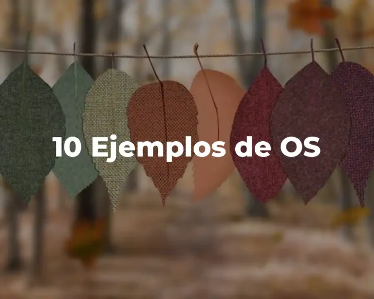 10 Ejemplos de OS