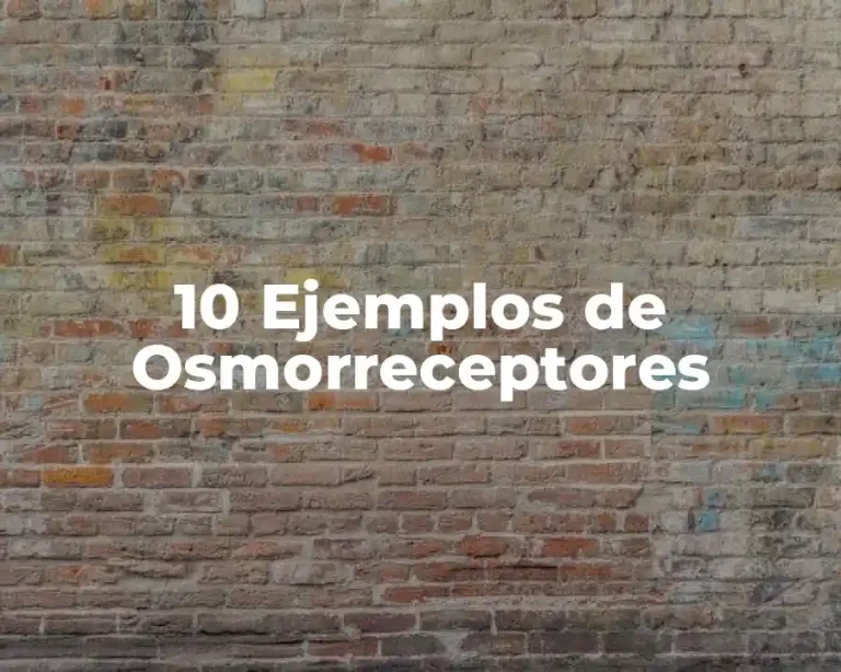 10 Ejemplos de Osmorreceptores