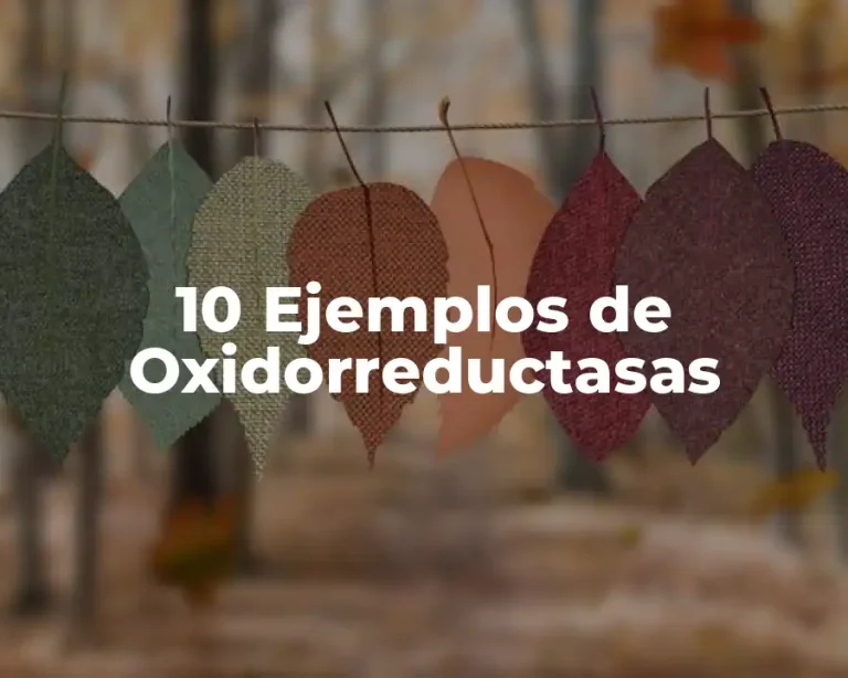 10 Ejemplos de Oxidorreductasas