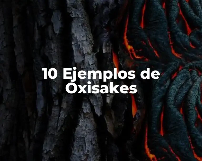 10 Ejemplos de Oxisakes