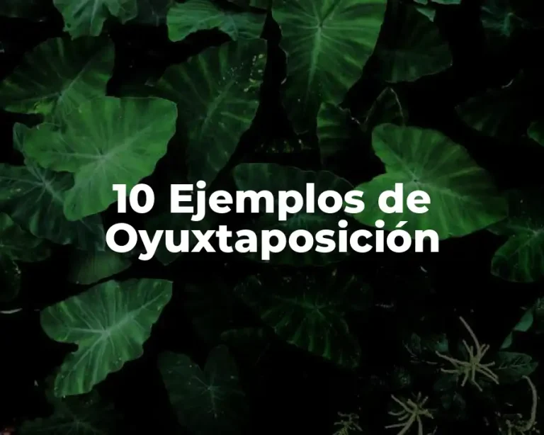 10 Ejemplos de Oyuxtaposición