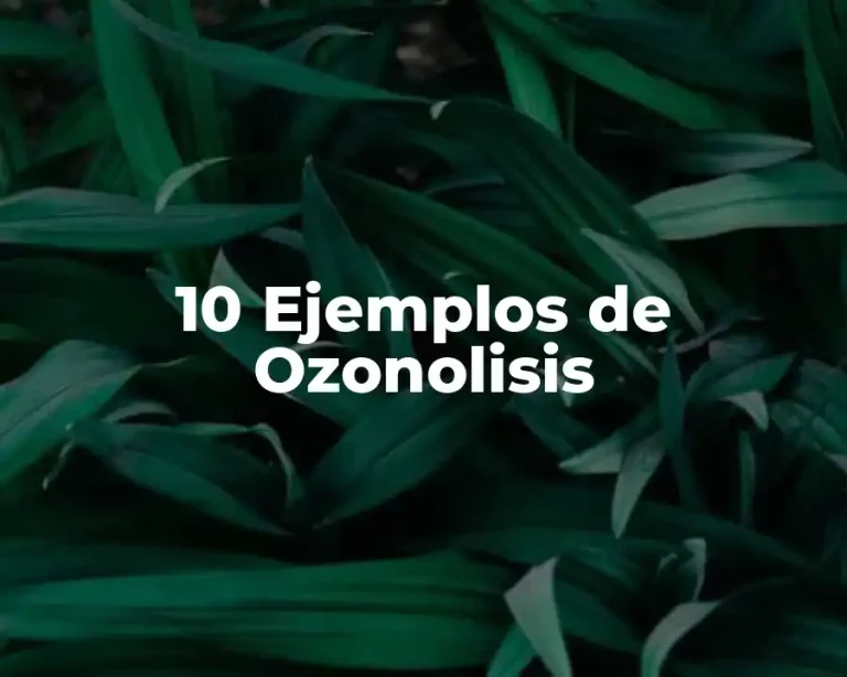 10 Ejemplos de Ozonolisis