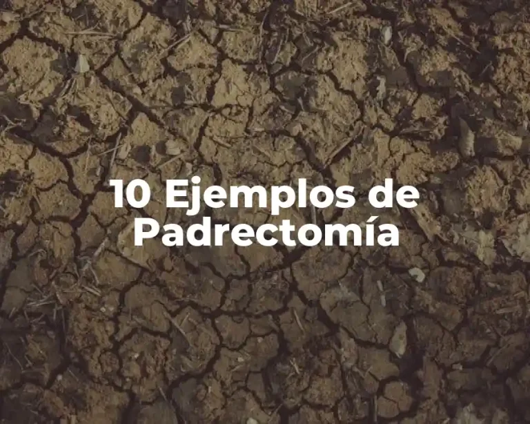 10 Ejemplos de Padrectomía
