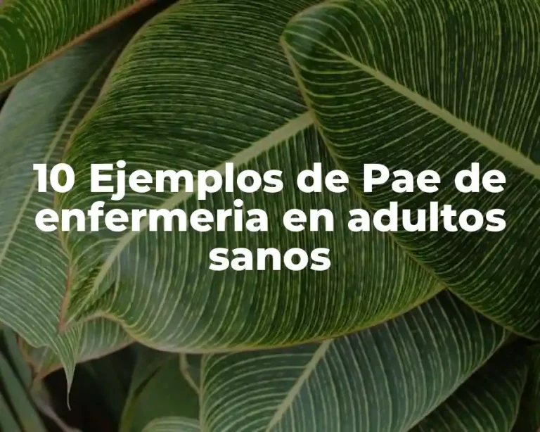 10 Ejemplos de Pae de enfermeria en adultos sanos