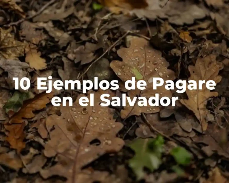 10 Ejemplos de Pagare en el Salvador