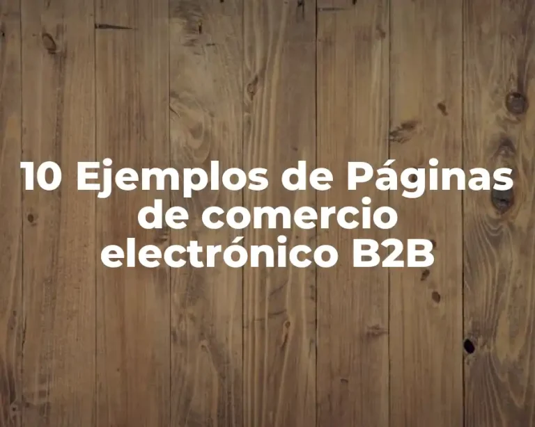 10 Ejemplos de Páginas de comercio electrónico B2B