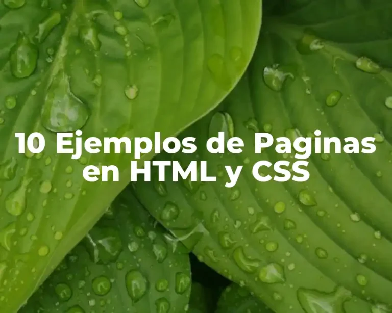 10 Ejemplos de Paginas en HTML y CSS