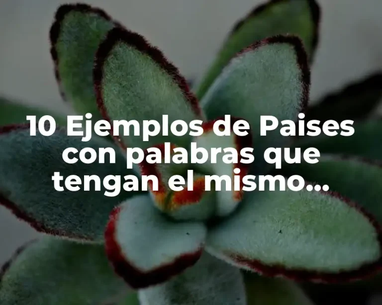 10 Ejemplos de Paises con palabras que tengan el mismo significado