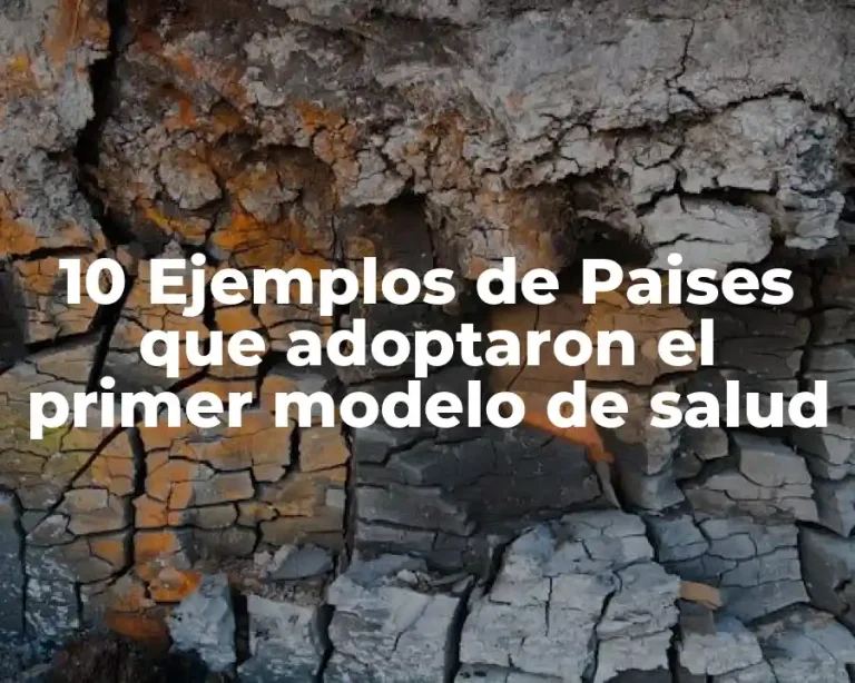 10 Ejemplos de Paises que adoptaron el primer modelo de salud