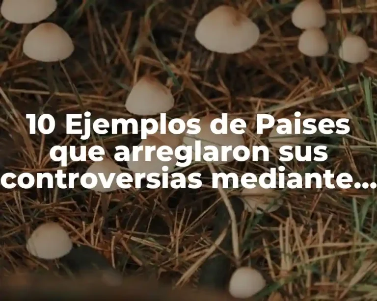 10 Ejemplos de Paises que arreglaron sus controversias mediante medios diplomáticos