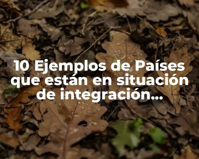 10 Ejemplos de Países que están en situación de integración económica