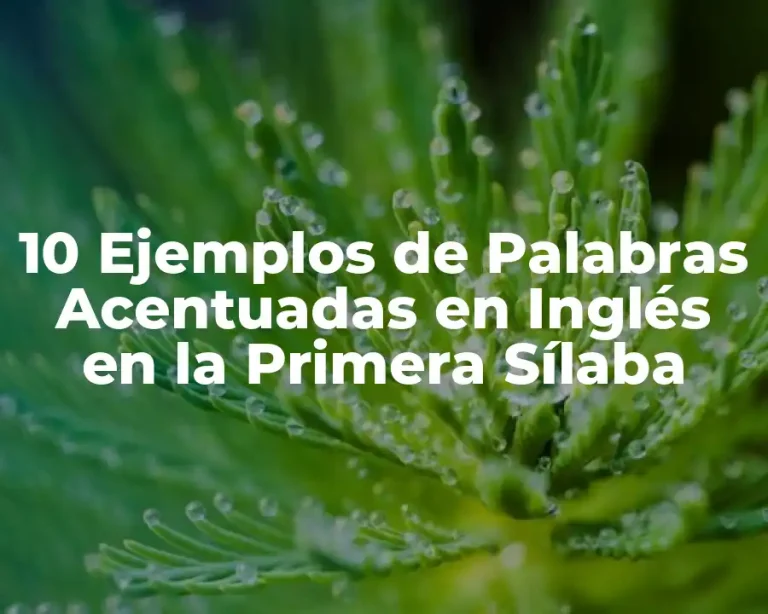 10 Ejemplos de Palabras Acentuadas en Inglés en la Primera Sílaba