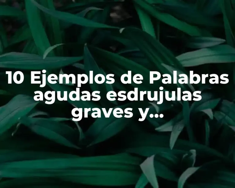 10 Ejemplos de Palabras agudas esdrujulas graves y sobreesdrujulas