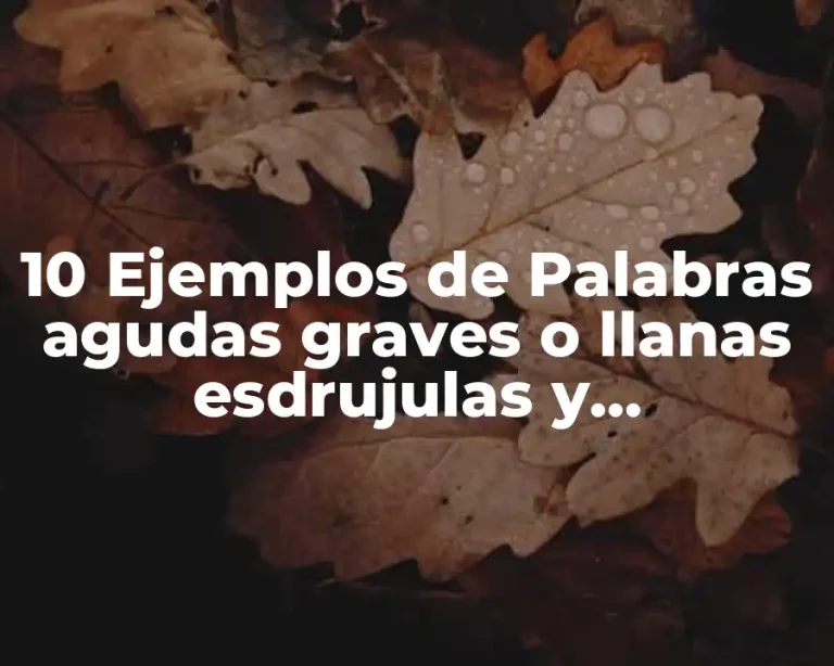 10 Ejemplos de Palabras agudas graves o llanas esdrujulas y sobreesdrujulas