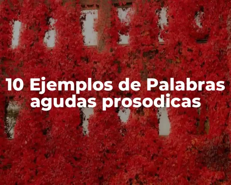 10 Ejemplos de Palabras agudas prosodicas
