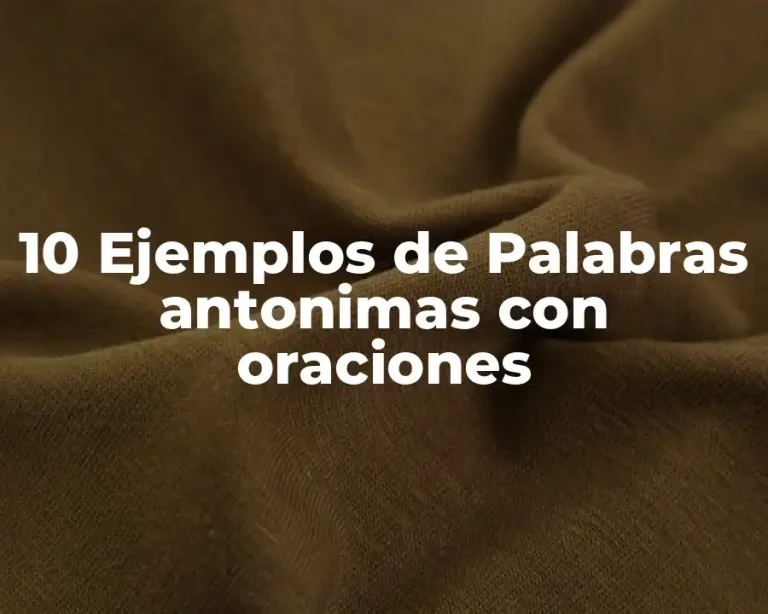 10 Ejemplos de Palabras antonimas con oraciones