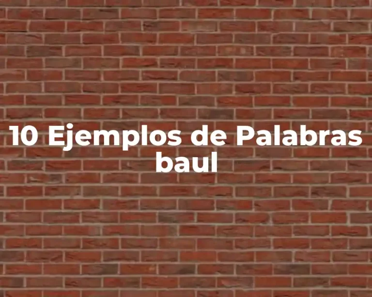 10 Ejemplos de Palabras baul