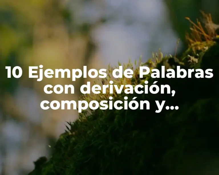10 Ejemplos de Palabras con derivación, composición y parasíntesis