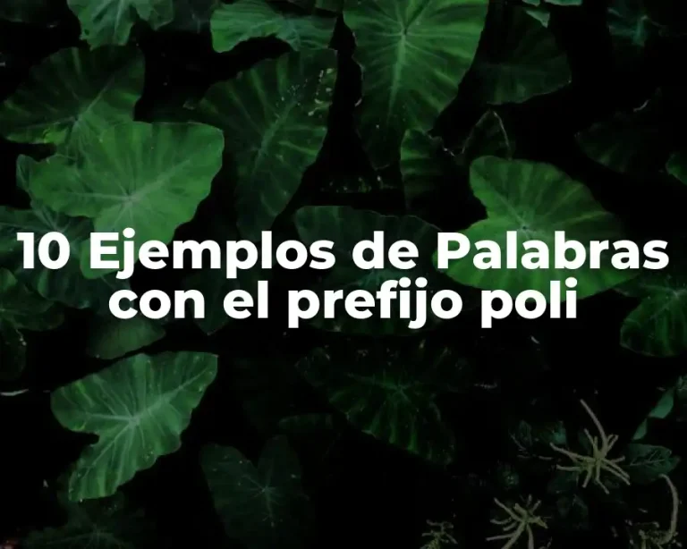 10 Ejemplos de Palabras con el prefijo poli