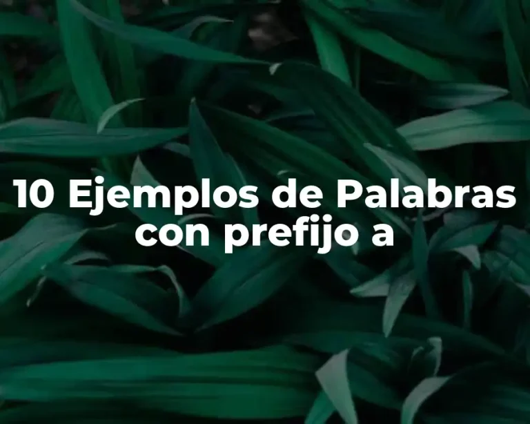 10 Ejemplos de Palabras con prefijo a