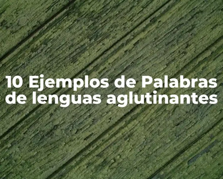 10 Ejemplos de Palabras de lenguas aglutinantes