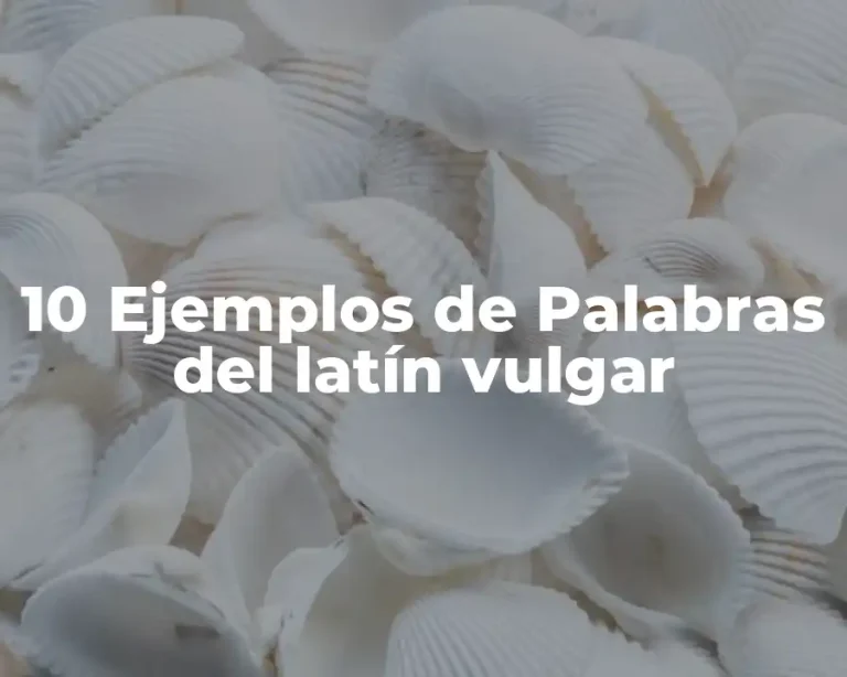 10 Ejemplos de Palabras del latín vulgar