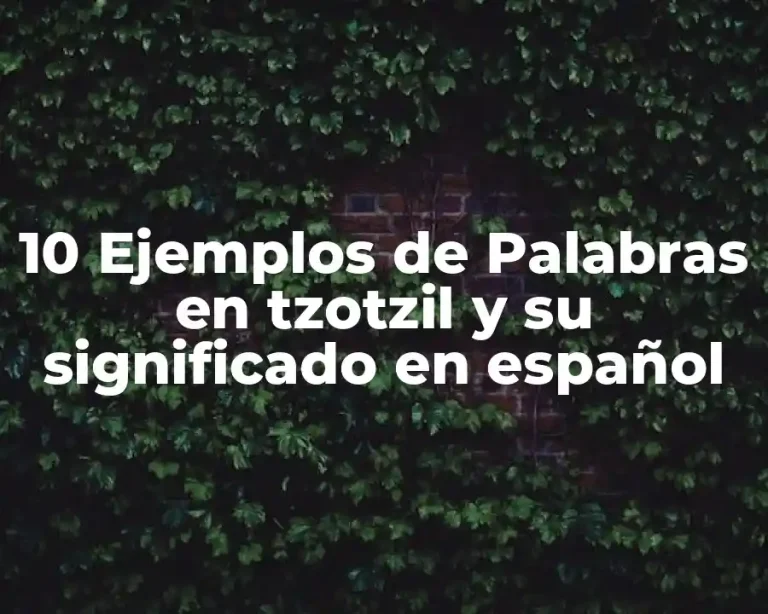 10 Ejemplos de Palabras en tzotzil y su significado en español