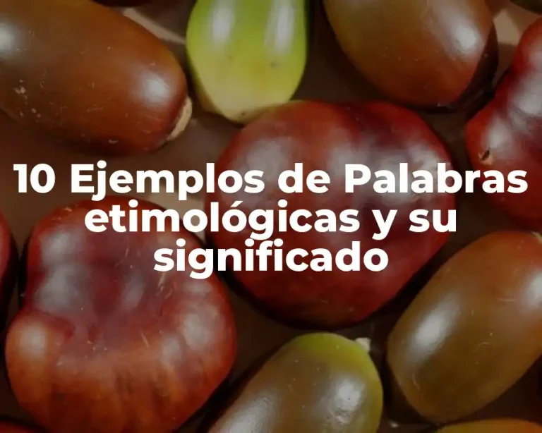 10 Ejemplos de Palabras etimológicas y su significado