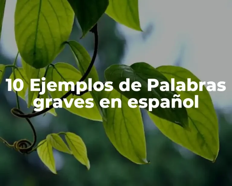 10 Ejemplos de Palabras graves en español