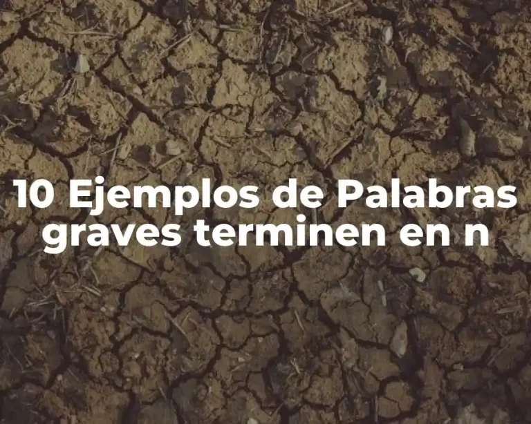 10 Ejemplos de Palabras graves terminen en n